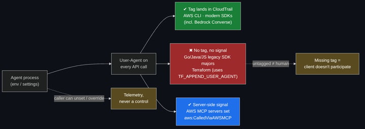 Where the tag lands, where it leaks, and why it is telemetry rather than a control